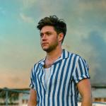 artist image Niall Horan Too Much To Ask Niall's Mix - EP