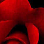 artist image Techno Project, Dj Geny Tur, Aries Atam Low bass by Dan Deep Love Deep Love - Single
