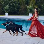 artist image Cardi B Press (feat. Nicki Minaj & B.o.B) [MASHUP] Press - Single