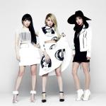 artist image 2NE1 Fire 2NE1 1st Mini Album