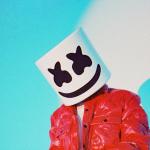 artist image Marshmello, P!NK, Sting Dreaming (Tasty Waves Remix) TRUSTFALL (Tour Deluxe Edition)