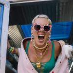 artist image P!nk Try 