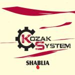album image Брат за Брата (zaycev.net) Shablia