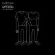 Catfish and the Bottlemen - Fallout