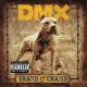 DMX - The Rain