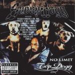 album image Down For My Ns Ft. Snoop Dogg No Limit Top Dogg