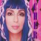 Cher - Gypsys, Tramps & Thieves