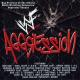 wWE Run DMC - wWE The Kings (DX Theme)