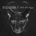 album image Magnets Caracal (Deluxe)