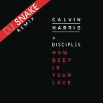 album image How Deep Is Your Love (DJ Snake Remix)(Low Bass by DJ Flash) How Deep Is Your Love (DJ Snake Remix) - Single