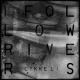 Lykke Li - I Follow You