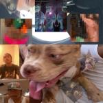 album image Donchano The Lo-Fis