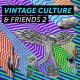 Vintage Culture feat Shapeless - BidoLibido