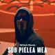 Carlas Dream - Sub pelea mea