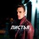 Андрей Леницкий - Листья