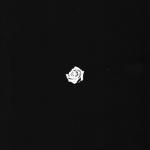 album image In My Head (Slowed/Intro) In My Head - Single