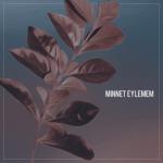 album image Minnet Eylemem ( Remix 2017 ) Minnet Eylemem - Single