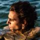 Tamino - Indigo Night