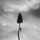 Manchester Orchestra - The Silence.