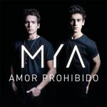 album image Amor Prohibido Amor Prohibido - Single