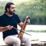 album image Ayrilamam (TRmusic) Ayrılamam - Single