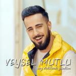 album image Veysel Mutlu - Vay Delikanli Gonlum 2018 Vay Delikanlı Gönlüm - Single