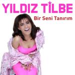 album image Dagildim Biraz (BRB) Bir Seni Tanırım