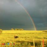 album image Мир у твоих ног Wonderful