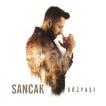 album image Bırak Gözyaşı