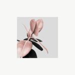 album image Body Body - Single