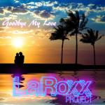 album image Goodbye My Love Goodbye My Love - Single