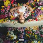album image Falling Nicotine