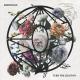 Imminence - Paralyzed