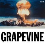 album image Grapevine (Tujamo Extended Remix) Grapevine - Single