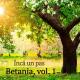 Betania - Ai obosit