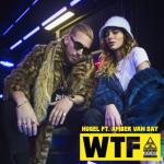 album image WTF (Original Mix) WTF (feat. Amber Van Day) - Single