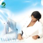 album image İsmi Lazım Değil Wael Kfoury
