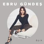 album image Dibe Vurgun Âşık