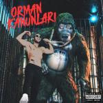 album image Motivasyon ORMAN KANUNLARI