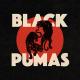 Black Pumas - Colors (2019)