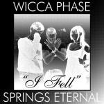 album image Wicca Phase Springs Eternal - "I Fell" I Fell (Darby Allin AEW Theme) - Single
