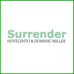 album image Shape of My Heart Surrender