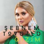 album image Qizim Qizim - Single