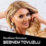 album image Derdime Derman 2020 (Dj Tebriz)