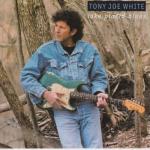 album image The Guitar Don't Lie Lake Placid Blues