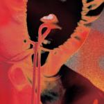 album image Demon Time Beautiful Havoc