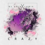 album image Crazy Crazy - Single