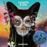 album image Dandelion Dandelion - Single