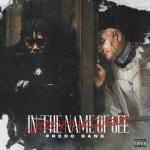 album image Top In The Name Of Gee (Still Most Hated)