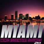 album image (Cumhur Hamarat Mix) Miami WMC 2011 Essential Sounds